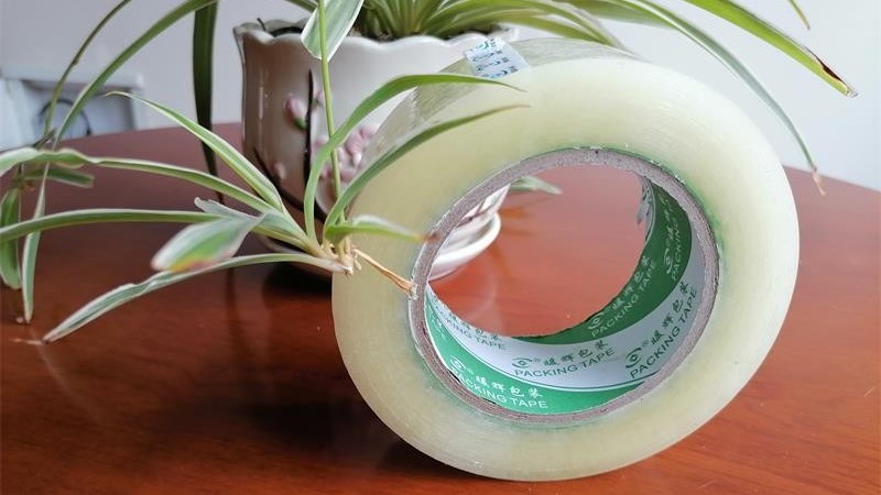好色先生TV传媒生產廠家精心製作減少浪費