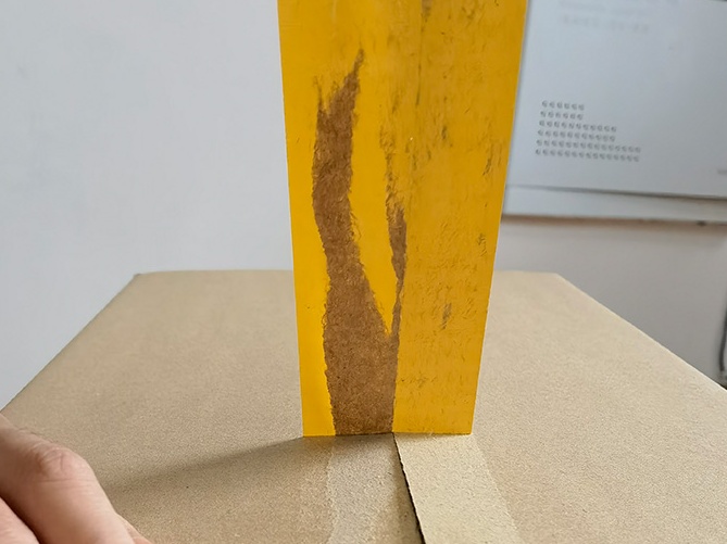 封箱透明黄色网站好色先生